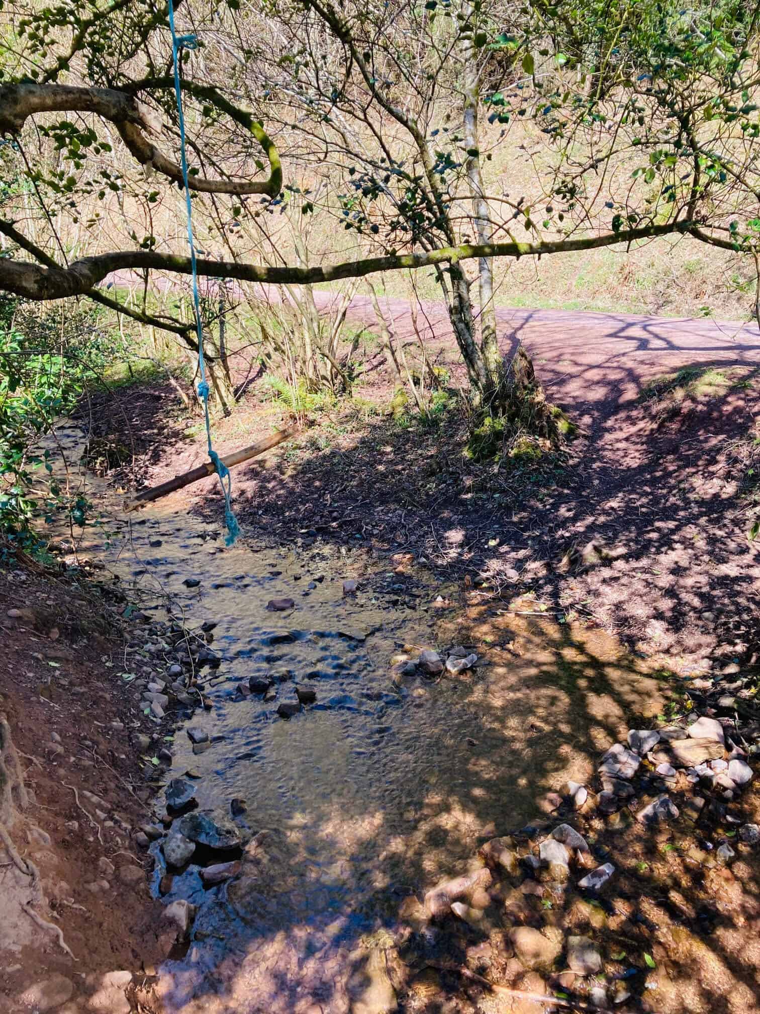 Stream with a blue rope swing hanging over it