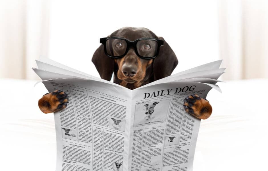Make Money: Sell Your Story To A Newspaper Make Money: Sell Your Story To A Newspaper
