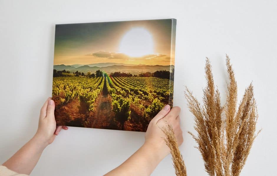 Review: Parrot Print Canvas