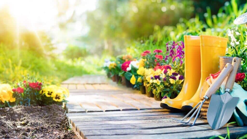 Cheap Garden Makeover Ideas